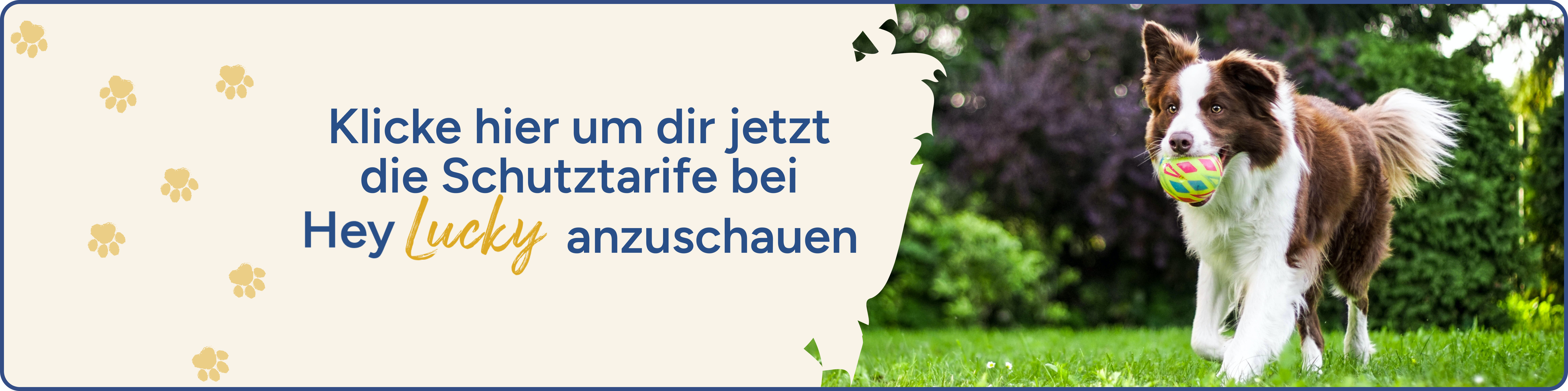 Klicke hier um dir jetzt die Schutztarife bei HeyLuccky anzuschauen