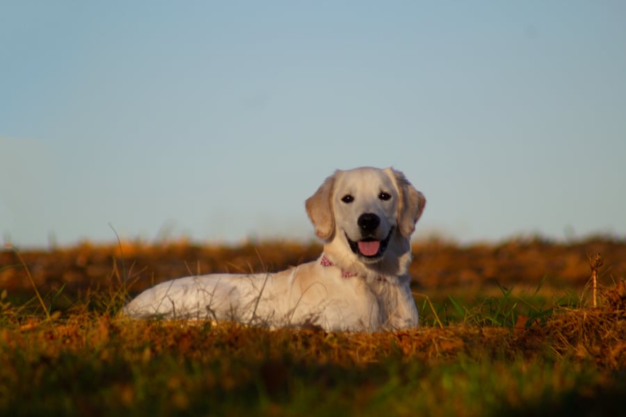 captain-photography-PXtlMl39fV0-unsplash