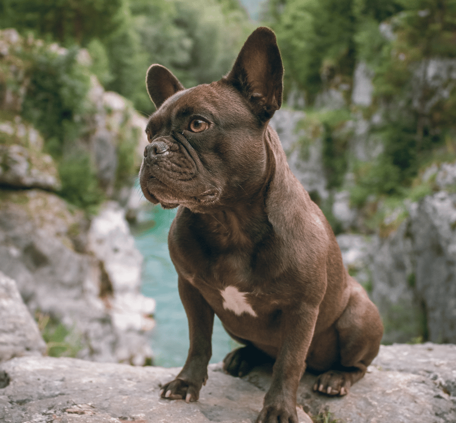 hendrik-kespohl-UnlhuW_Ha1Q-unsplash 1