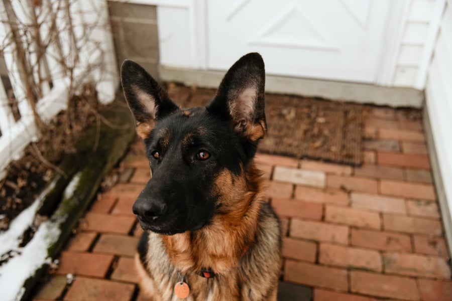 pexels-julissa-helmuth-15279811